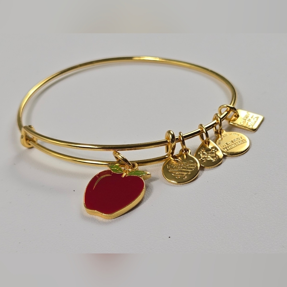 Alex And Ani Gold Tone Red Apple 2017  Charm Bracelet - Picture 6 of 15